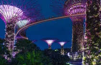 아·태지역 베스트 AI준비국가 1위에 싱가포르..한국 4위 그쳐