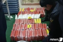 내비 잘못 찍은 국제 마약조직…부산신항서 코카인 100㎏ 적발