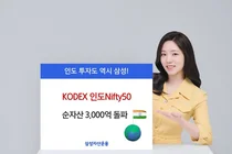 인도 대형주 ETF에 자금 몰린다