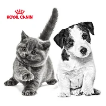 한국 펫푸드 1위 로얄캐닌, 작년 매출 3244억원