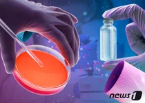 박셀바이오 임상 정지 처분에 바이오주 와르르..알테·삼천당· 레고켐 급락