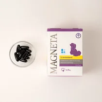 한국반려동물영양연구소, 닥터레이 마그네타 리뉴얼 출시