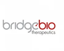 '반토막' 브릿지바이오, 대표이사 지분 매각설 잦아드나 했더니 주주배정 유상증자