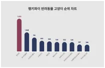 1위 먼치킨·2위 러시안블루·3위 스코티시폴드, 4월 4주차 랭키파이 반려동물 고양이 순위