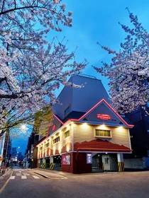 22살 아웃백 신촌점, 리뉴얼로 신촌 상권 지킨다