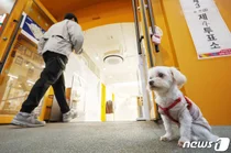 22대 총선 오후 1시 투표율 53.4%…지난 총선보다 3.7%p↑