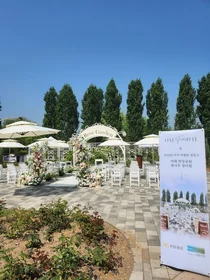 KB증권, 사회적 취약계층 부부 한강 야외결혼식 지원