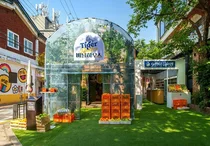 도심 속 비닐하우스 ‘타이거 라들러’ 팝업스토어