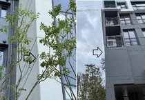 현대엔지니어링, 역대급 하자 '휜스테이트' 품질 논란 사과