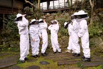 안젤리나 졸리, 세계 벌의 날 맞아 일본 비 스쿨 참가