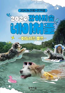 강아지숲, 반려견 동반 수영장 6월 개장