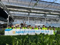NH헤지자산운용, 영농철 농촌 일손돕기 실시 