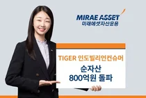 ‘미래에셋 TIGER 인도 컨슈머’ 순자산 800억 돌파