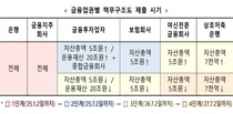 금융회사 책무구조도 내달 시행..3년 내 모두 제출