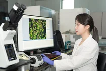 한국콜마, AI 기술로 안드로겐성 탈모 진단...맞춤형 화장품 제안