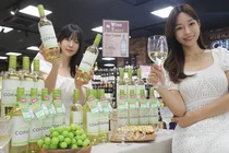 이마트, 4900원 초저가 화이트 와인 '소비뇽 블랑' 출시