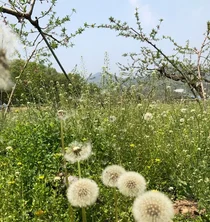 우리나라 토지 보유자 1903만명...1년 새 26만명↑