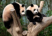 삼성물산 2분기 매출 21조 8000억원 · 영업이익 9004억원