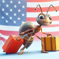 국장 때려치고 미국으로 미국으로..대외금융자산 또 '역대 최대'