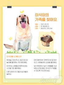 관세청 훈련견 6마리 민간분양…아파트 거주자도 신청 가능