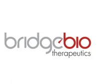 브릿지바이오, 샤페론 특발성 폐섬유증 치료제 기술도입 계약 해지