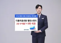 디폴트옵션용 자산배분펀드 수익률 '탁월'