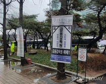 홍콩 ELS 민원보다 더 많은 손보사 민원..대체 왜?