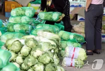 사과 악몽 떠올리게 하는 배춧값..포장김치 품절에 배송 지연까지