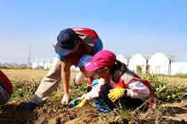 롯데건설, 가족과 함께 고구마·상추 수확...이웃나눔 활동 진행