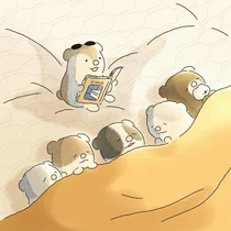 지누스, 11월4일 3분기 실적 발표