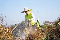 이석용 NH농협은행장, 수확철 농가 일손돕기 봉사