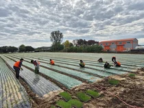 한식진흥원, 농번기 맞아 농가 일손 도와