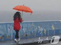 벚꽃, 오늘로 끝...주말 내내 전국에 강한 비바람