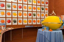 오뚜기X귤메달, 크리스마스 팝업 스토어 오픈