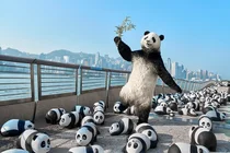 판다로 가득 채운 홍콩의 명소들 ‘판다 고! 페스트’ 눈길