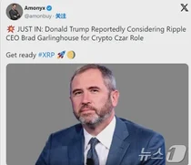 리플, 6년만에 2달러 돌파..2017년 영광 재현하나