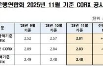 11월 코픽스 2.81%..전월비 0.24%P 폭등