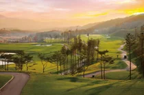 설 연휴 문여는 골프장 어디..국내 골프장 38곳 無休