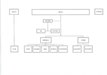 시노펙스 조직도 (2025년 2월)