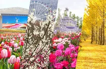 에버랜드, 국내 첫 정원구독서비스 '가든패스' 출시