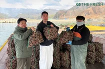 GS리테일, ‘국산 홍가리비’ 소비 촉진 나서