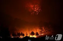 영남권 산불에 15명 사망·1명 실종
