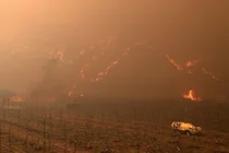 손보사, 독감·눈·산불 삼중고에 1분기 실적 부진-신한투자證