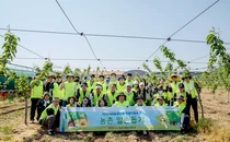 NH농협은행, 충남 아산시 농가 찾아 '농촌 일손돕기' 실시