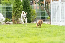 양산펜션 연희재, 파티룸과 애견동반 가능한 풀빌라 오픈