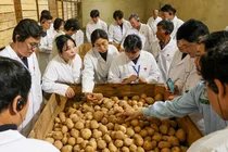 농심, 청년농부에 감자 재배교육 및 지원금 전달