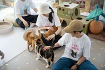 토스뱅크 임직원, 동물자유연대 온독·온캣에서 봉사