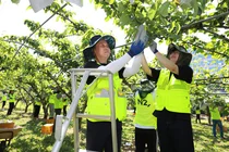 NH투자증권, ‘범농협 한마음 농촌일손 집중 지원의 날’ 활동 실시