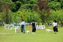에버랜드, 반려견 동반 '멍하니 걷개' 신규 론칭