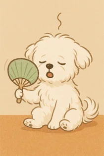 컬리, 여름맞이 펫페어 진행..